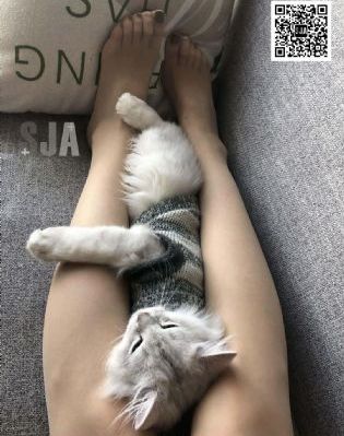 提防老千电影在线观看粤语