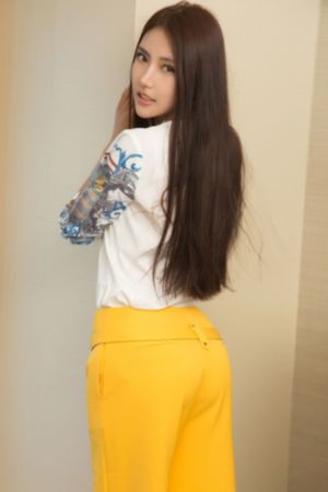 珠帘玉幕电视