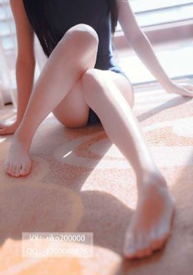 骡子和金子