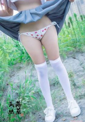 一仆二主电视剧