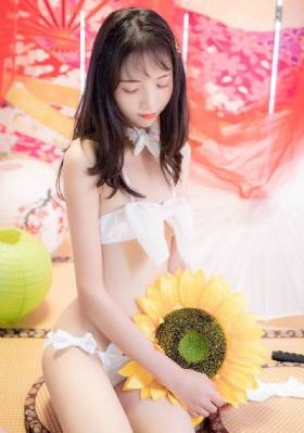 火鸟韩剧电视剧全集播放免费观看
